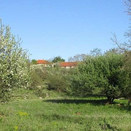 Villa Arcadian Stone House in a quiet landscape, Leonidion à Poúlithra Extérieur photo